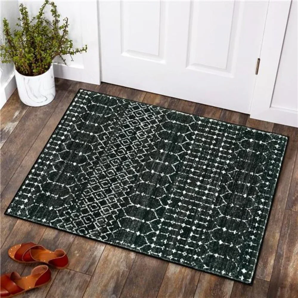 Moroccan Entry Rug 2x3, Non-Slip Washable Front Door Mat Indoor Rubber Backing